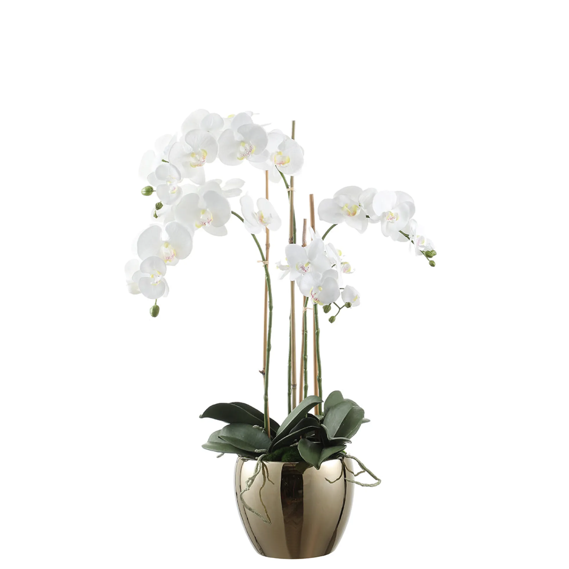 Composition d'Orchidée Vase Doré 79cm