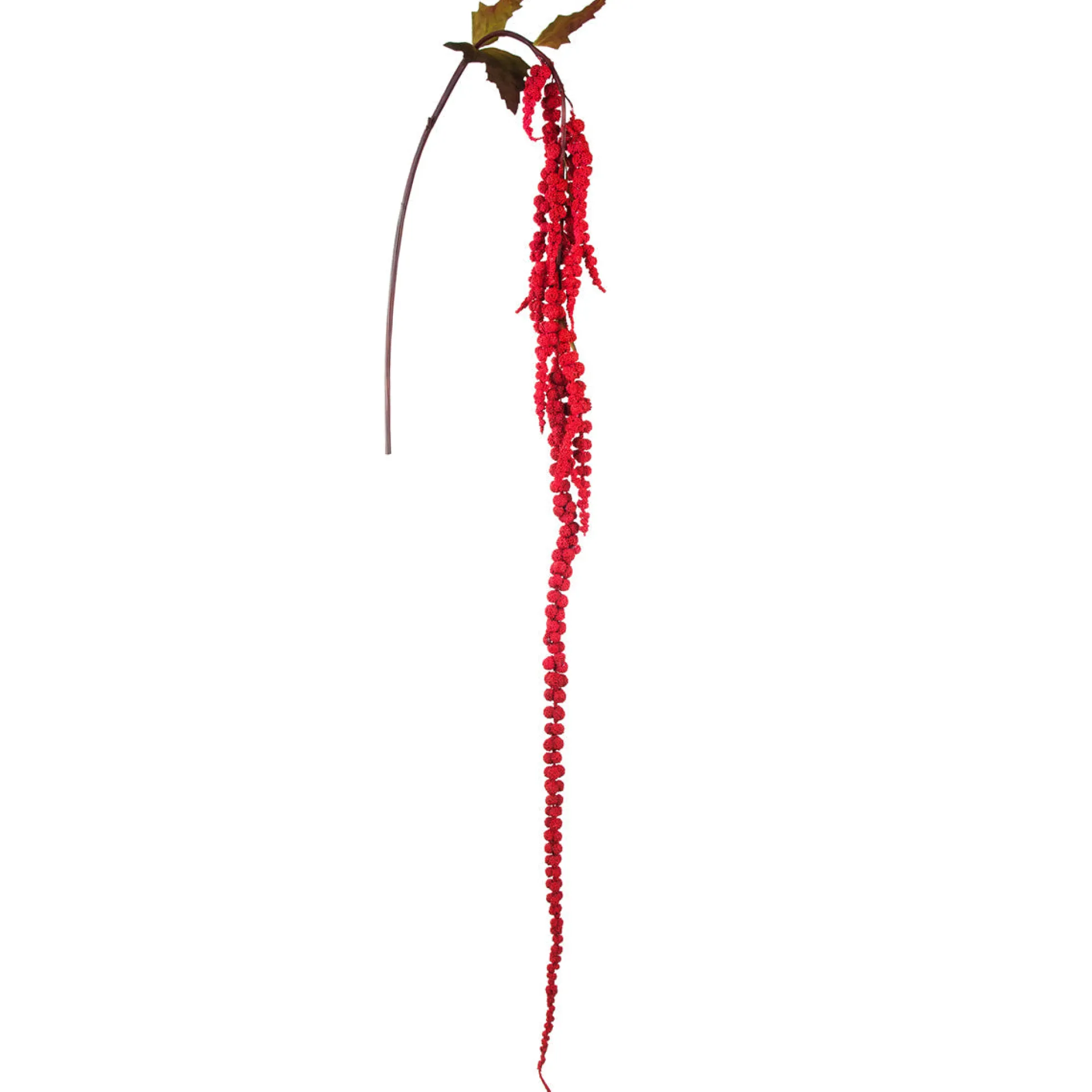 Feuillage Amarante Tombante 117 cm