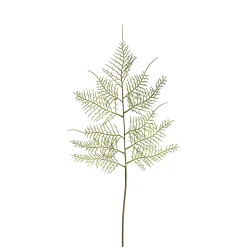 Feuillage d'Asparagus 62 cm
