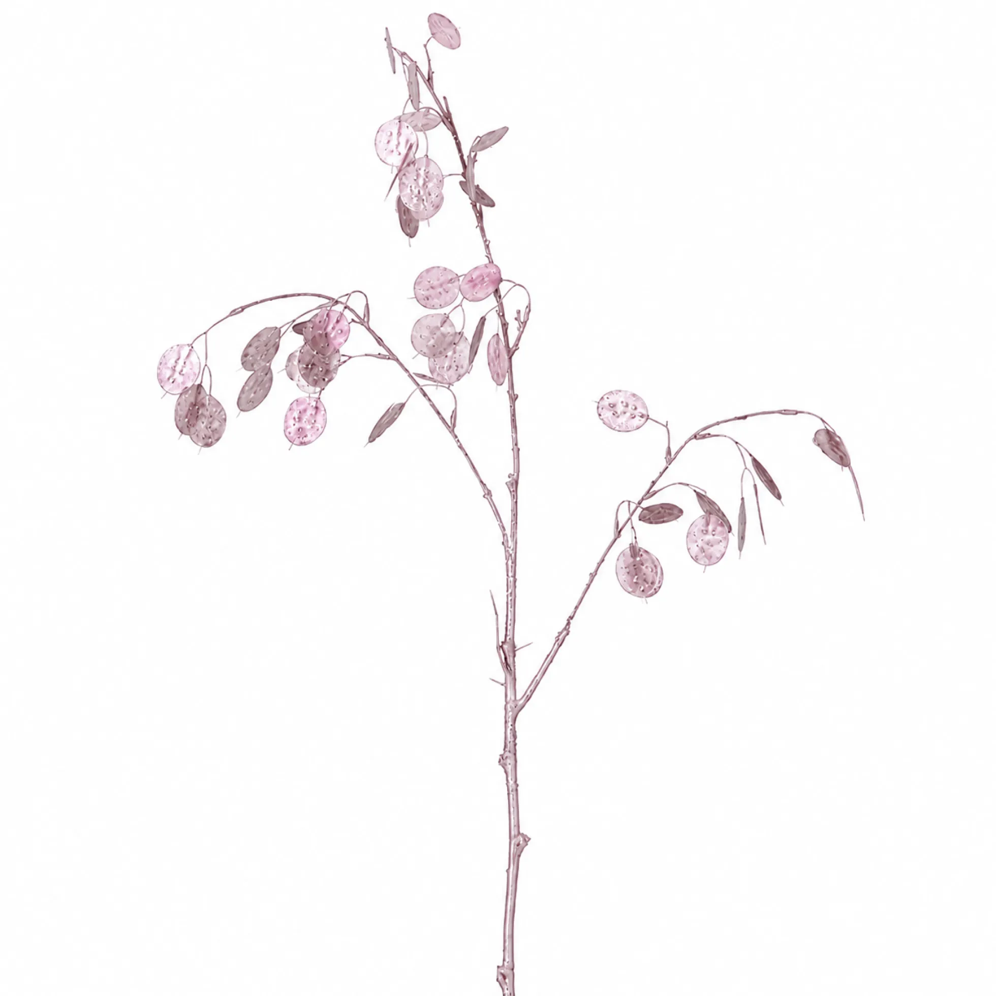 Feuillage de Lunaria Métallique