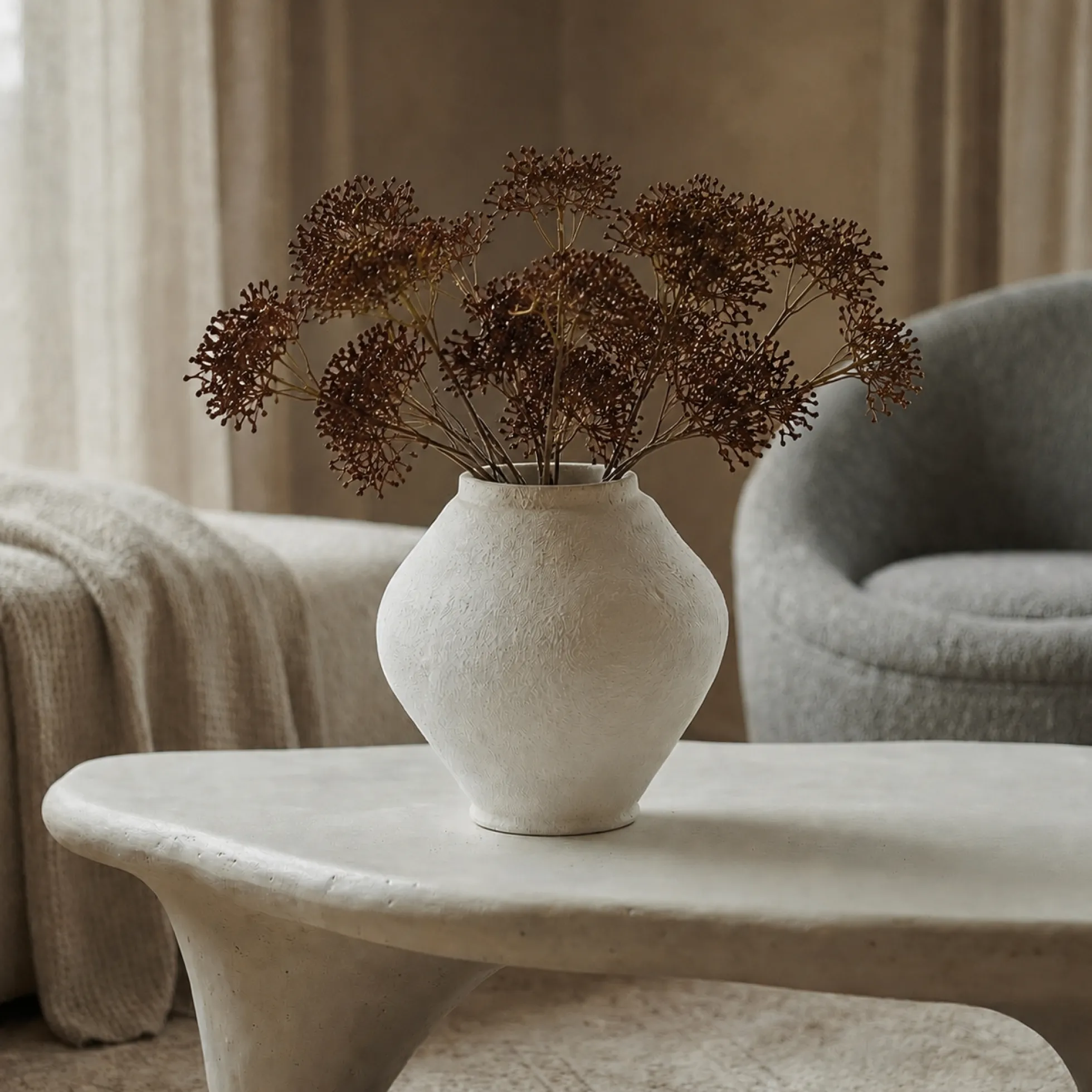 Feuillage de Skimmia