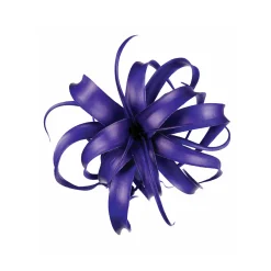 Feuillage de Tillandsia à piquer