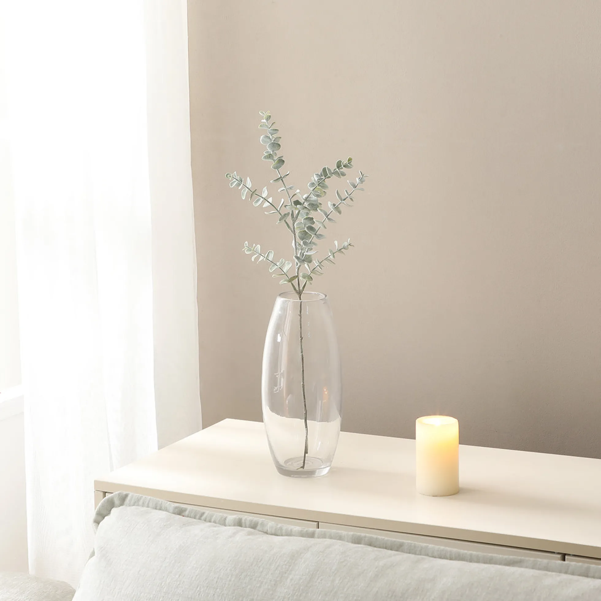 Feuillage d'Eucalyptus