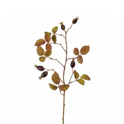 Feuillage Eglantier 66 cm
