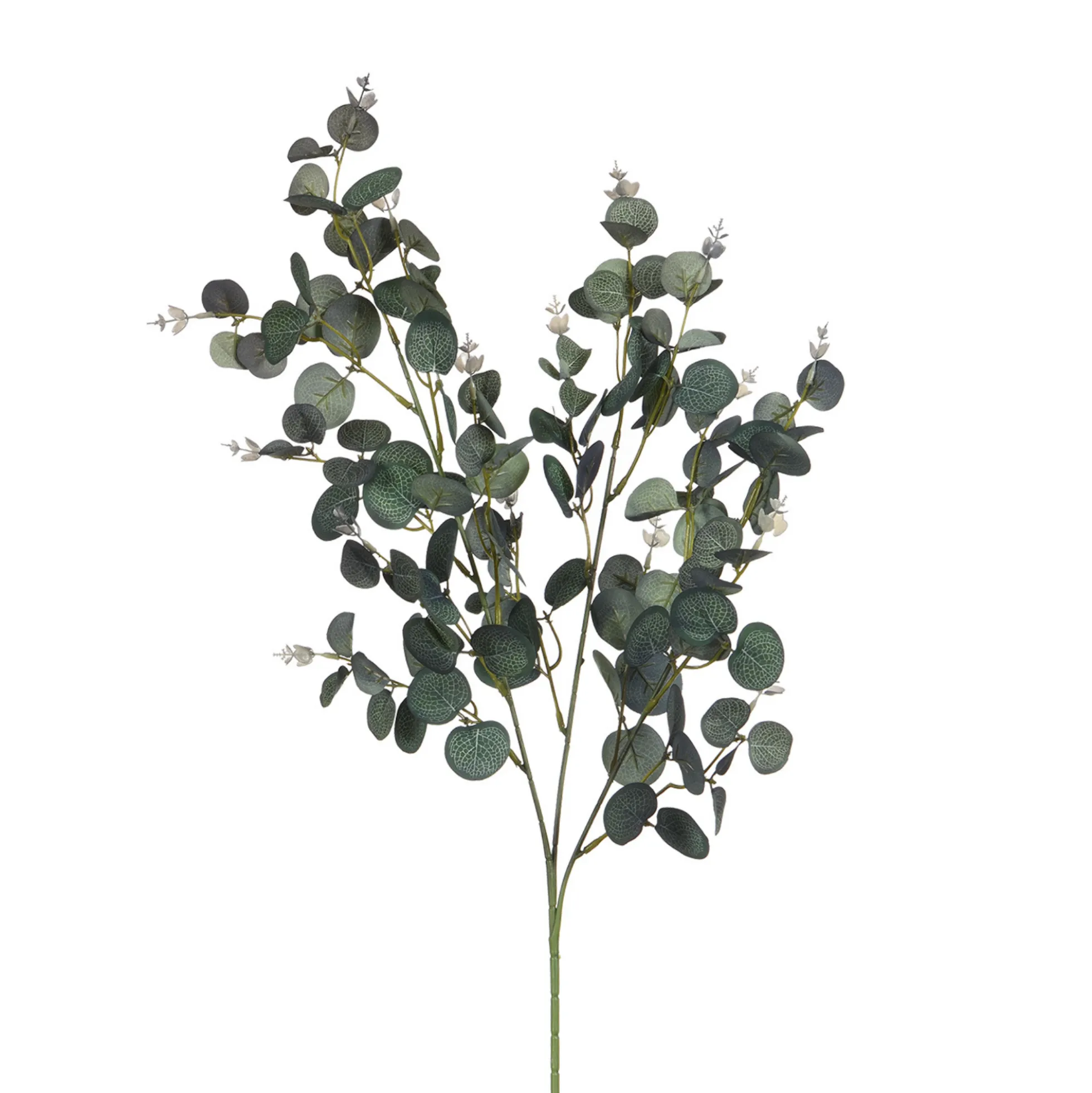 Feuillage Eucalyptus 80 cm