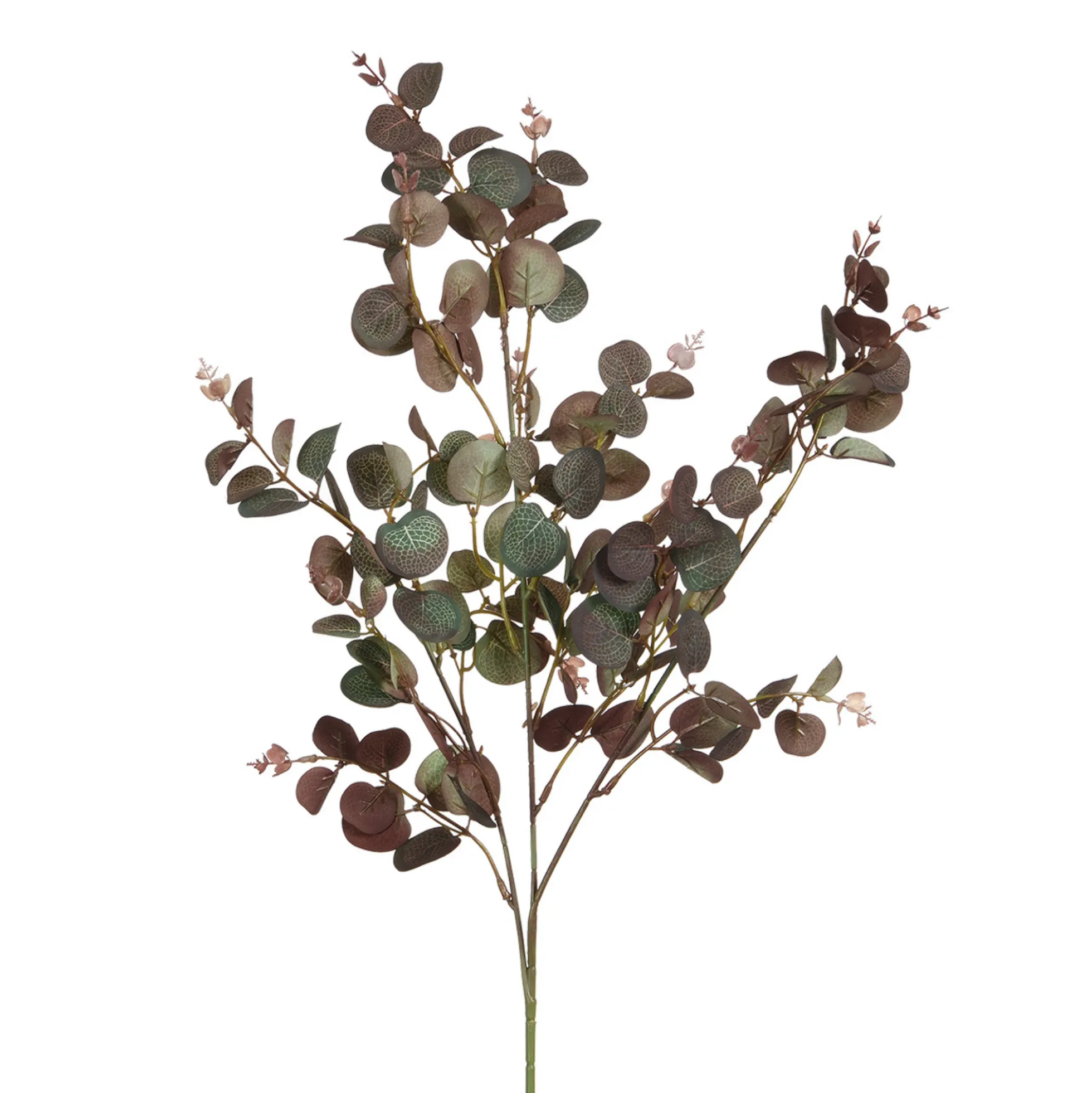 Feuillage Eucalyptus 80 cm