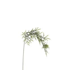 Feuillage Herbe tombante 70 cm