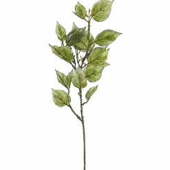 Feuillage Laurier Pailleté