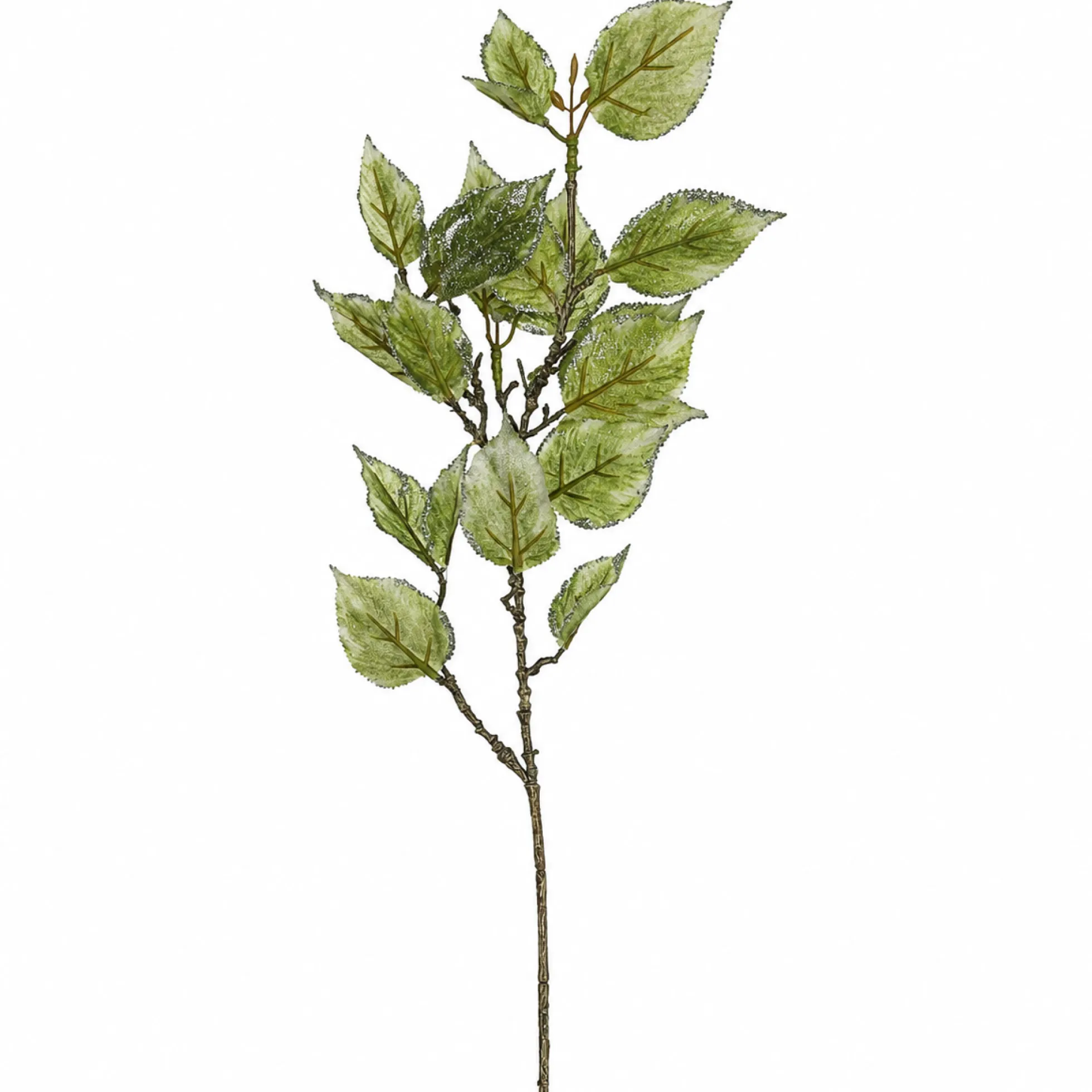 Feuillage Laurier Pailleté