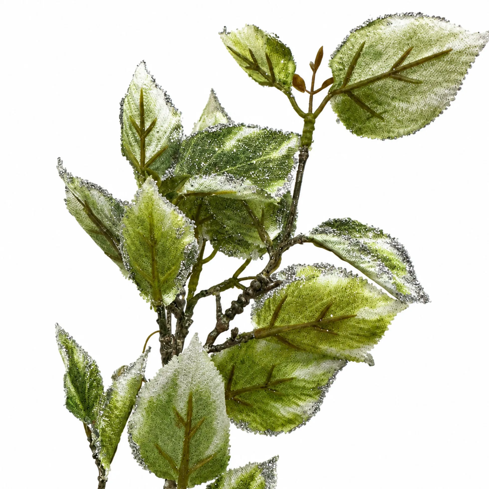 Feuillage Laurier Pailleté