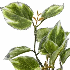 Feuillage Laurier Pailleté