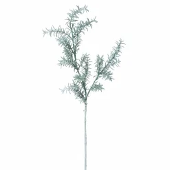 Feuillage Sedum blanchi 76 cm