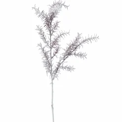 Feuillage Sedum blanchi 76 cm