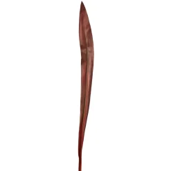 Feuille Effet Séché