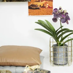 Housse de Coussin George