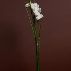 Orchidée Artificielle en Illusion d'Eau