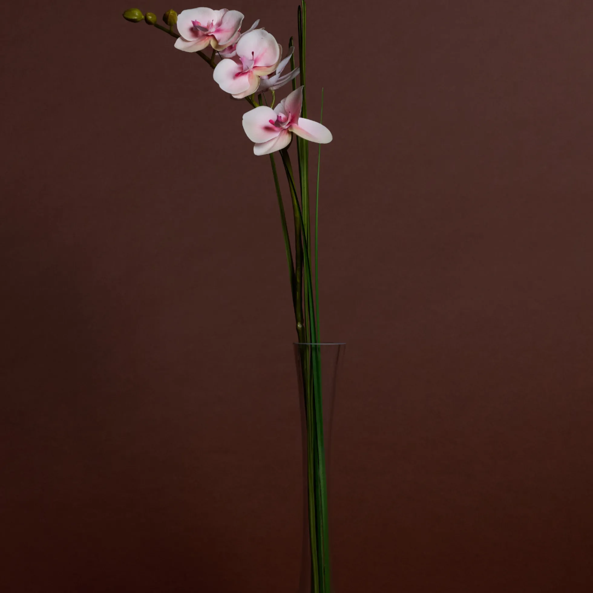 Orchidée Artificielle en Illusion d'Eau