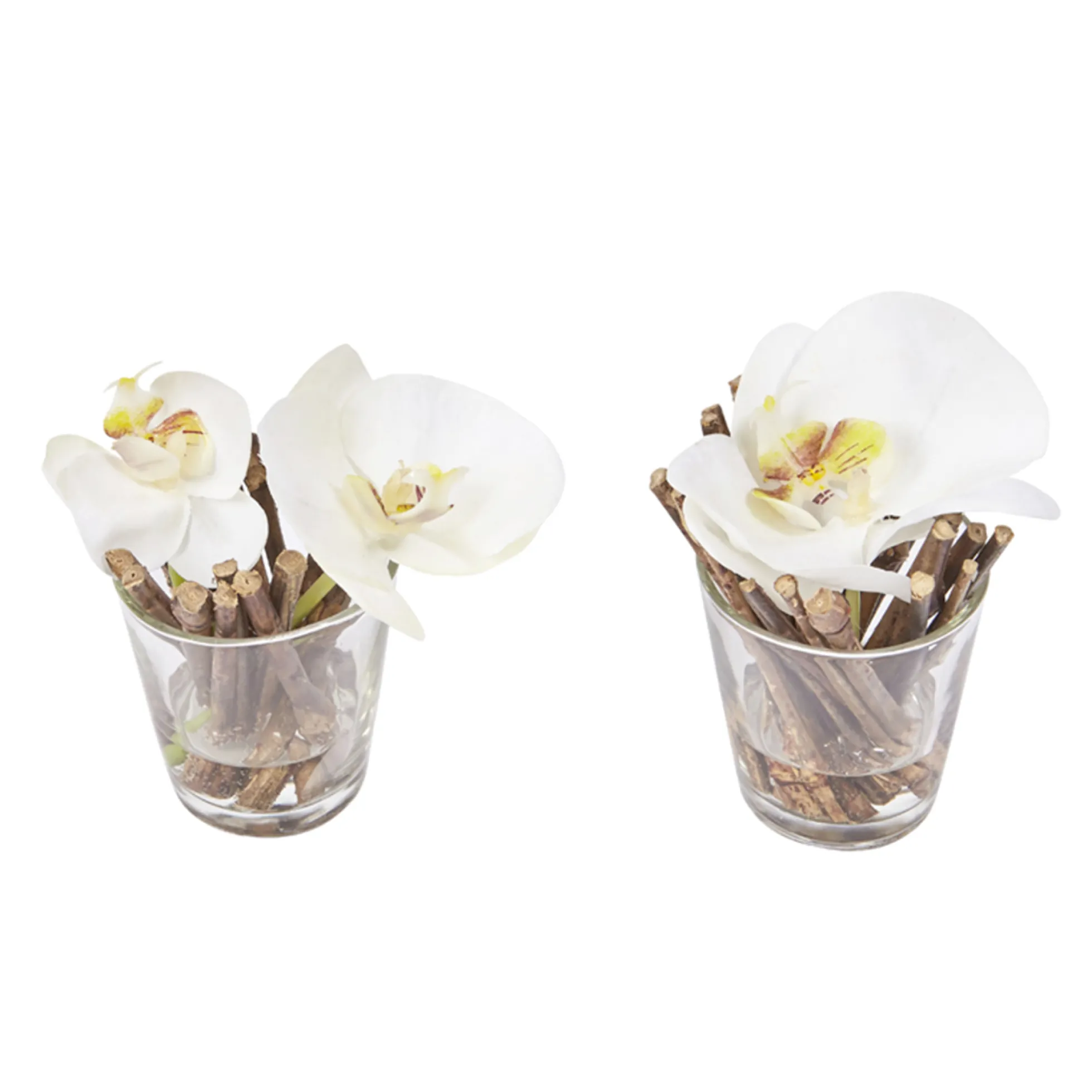 Orchidées Artificielles en Illusion d'Eau Sissi