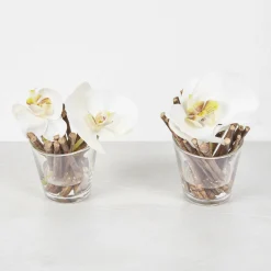 Orchidées Artificielles en Illusion d'Eau Sissi