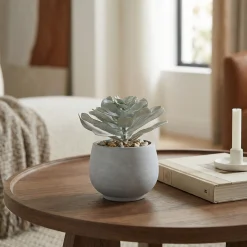Succulente en Pot Maya