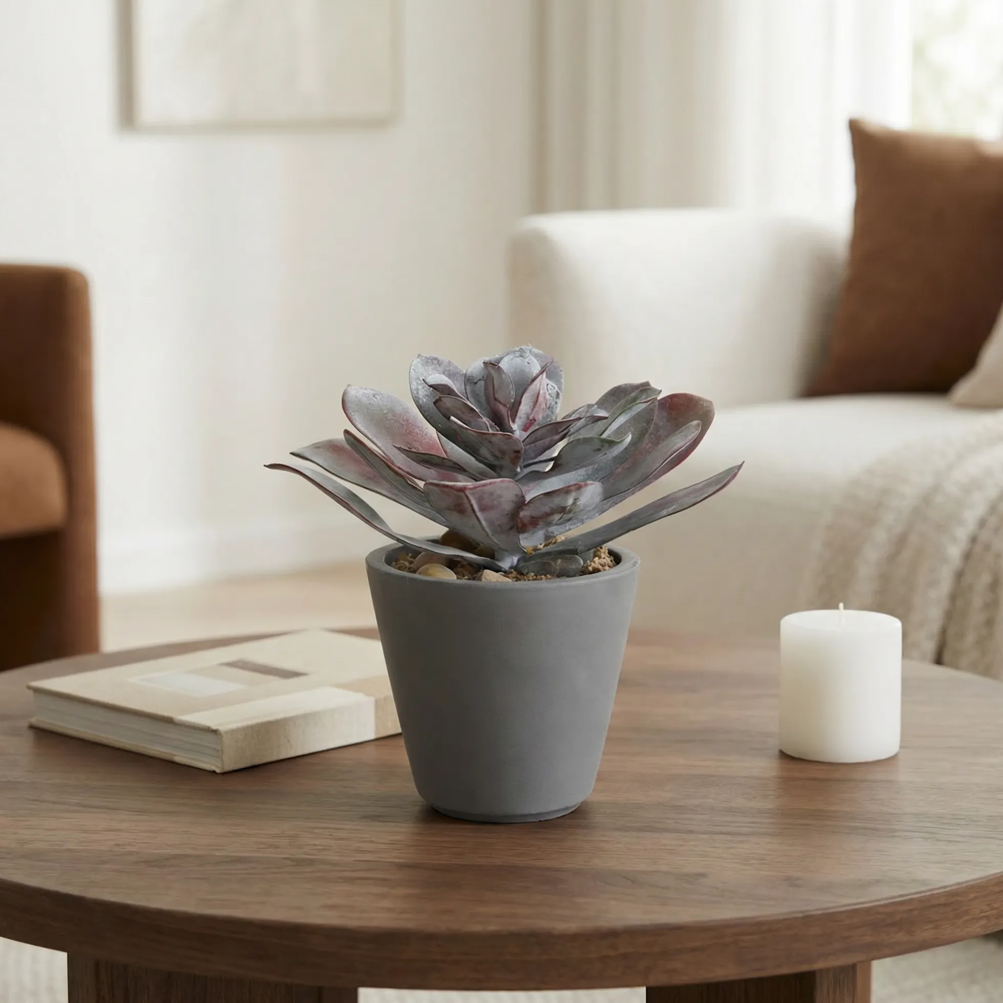 Succulente en Pot Maya