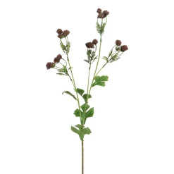 Tige d’Alchémille 68 cm