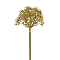 Tige d'Allium Atropurpureum