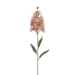 Tige d'Allium 78 cm