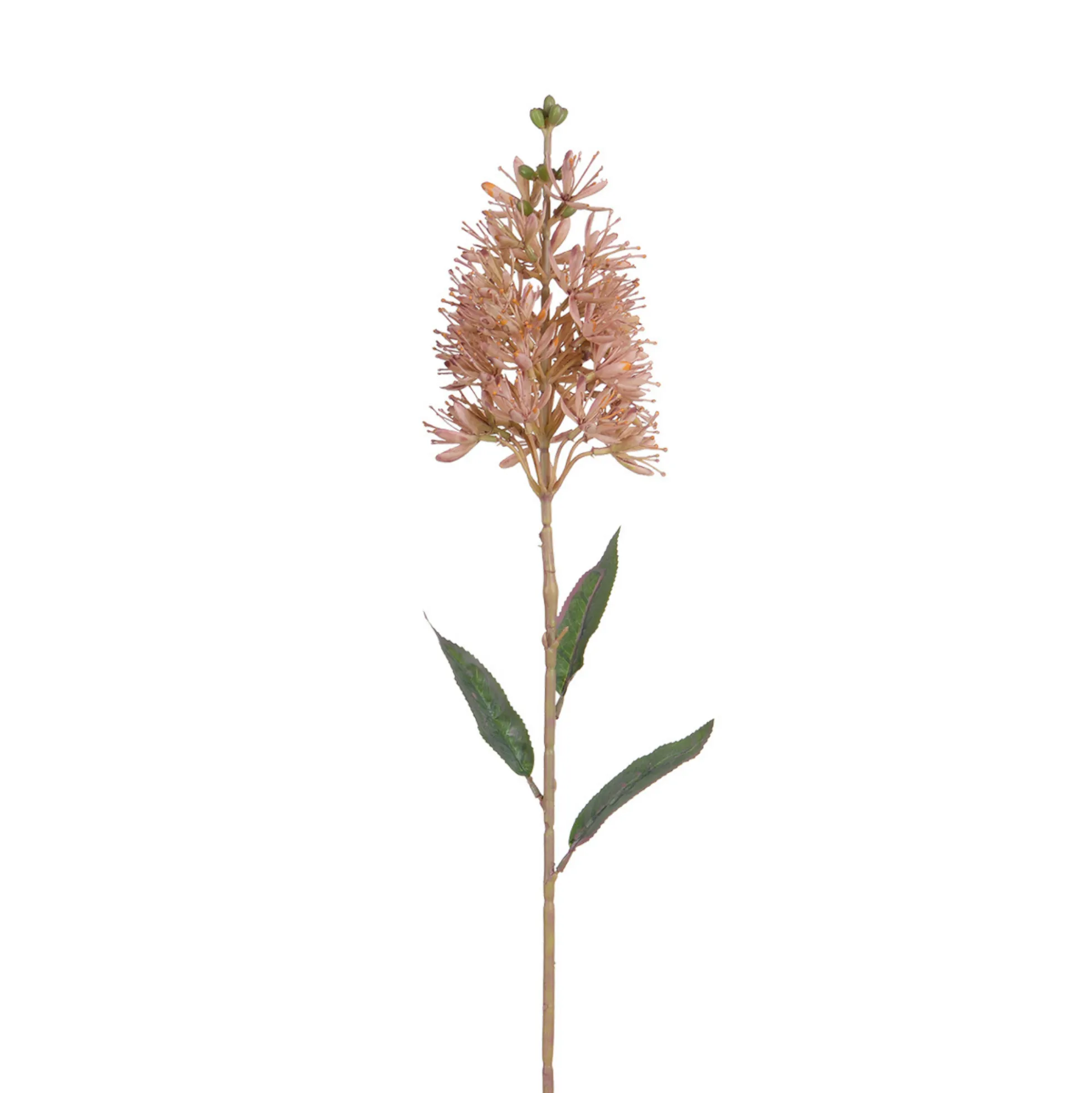 Tige d'Allium 78 cm