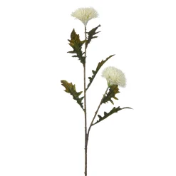 Tige de Chardon 78 cm