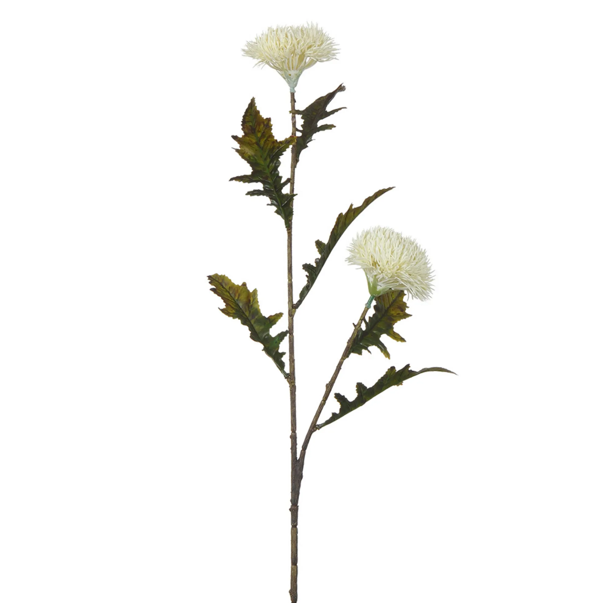Tige de Chardon 78 cm