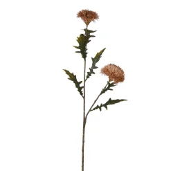 Tige de Chardon 78 cm