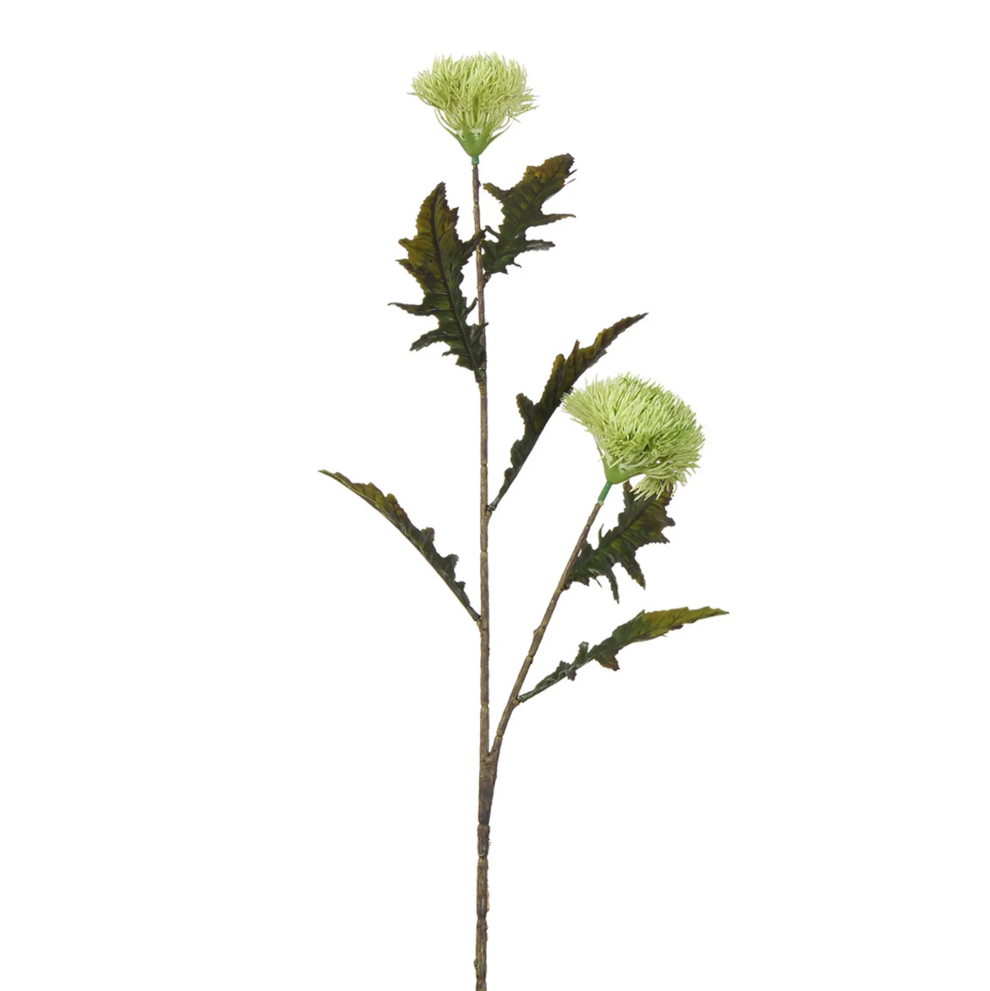 Tige de Chardon 78 cm