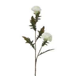 Tige de Chardon 78 cm
