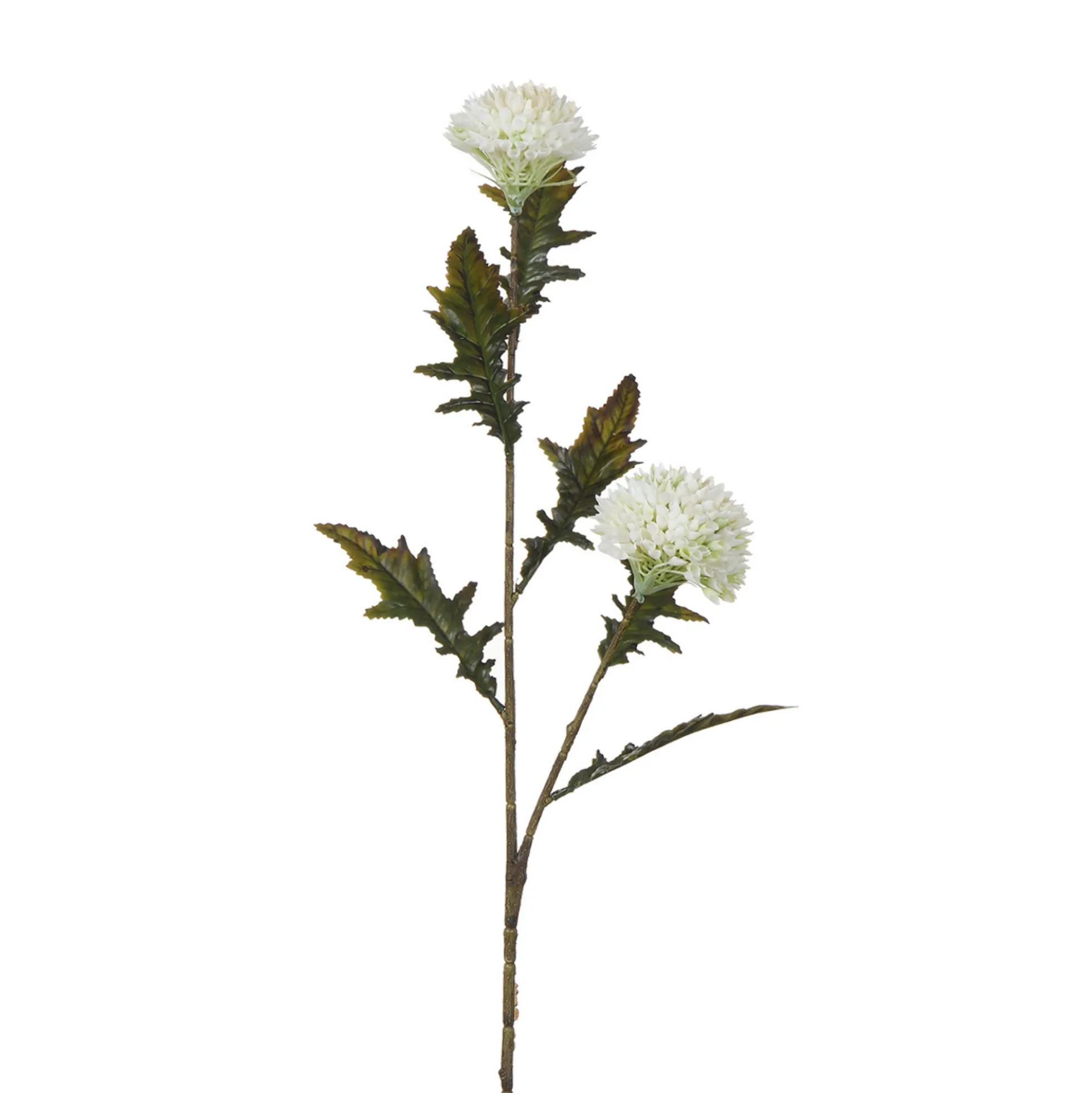 Tige de Chardon 78 cm