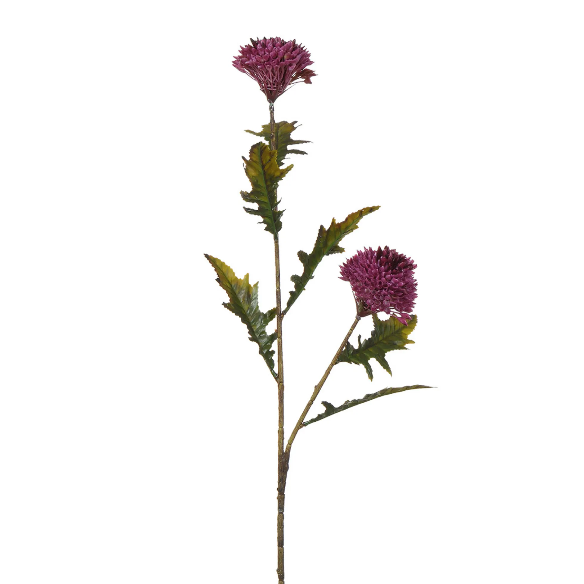 Tige de Chardon 78 cm