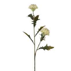 Tige de Chardon 78 cm