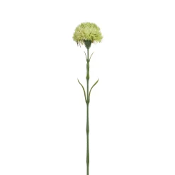 Tige de Chardon 60 cm