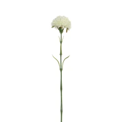 Tige de Chardon 60 cm