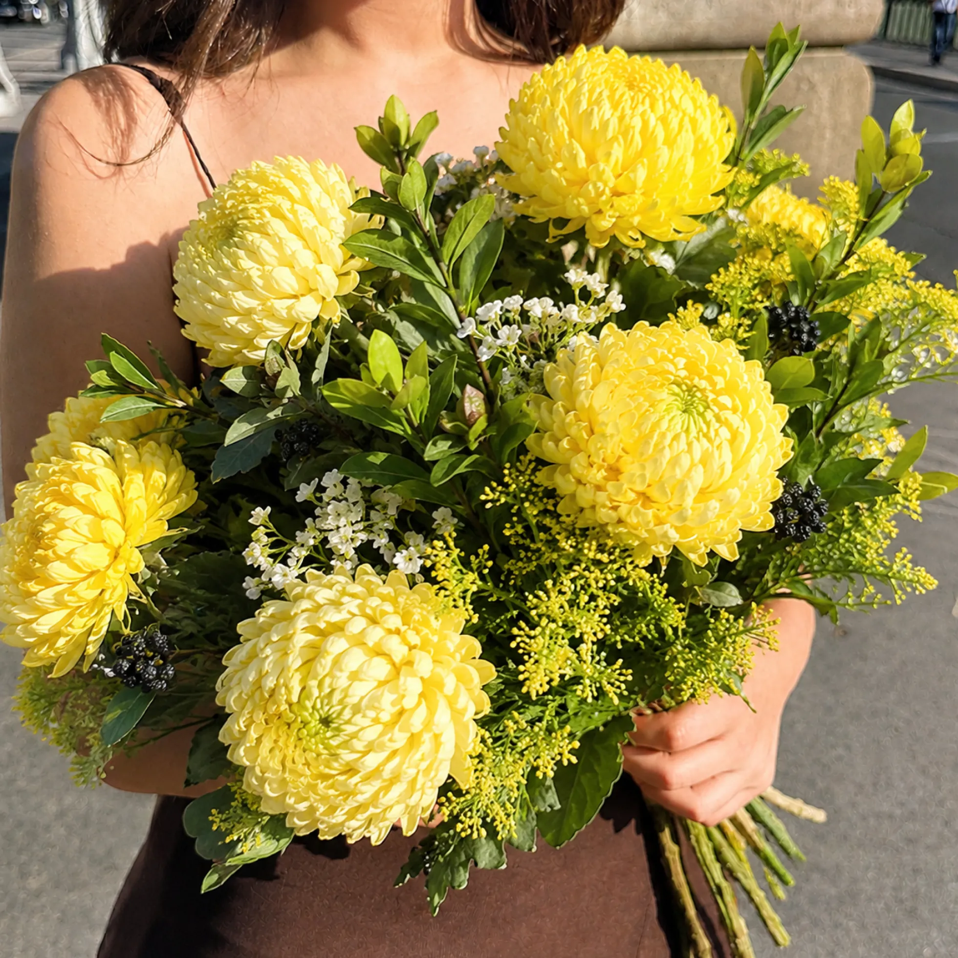 Tige de Chrysanthème