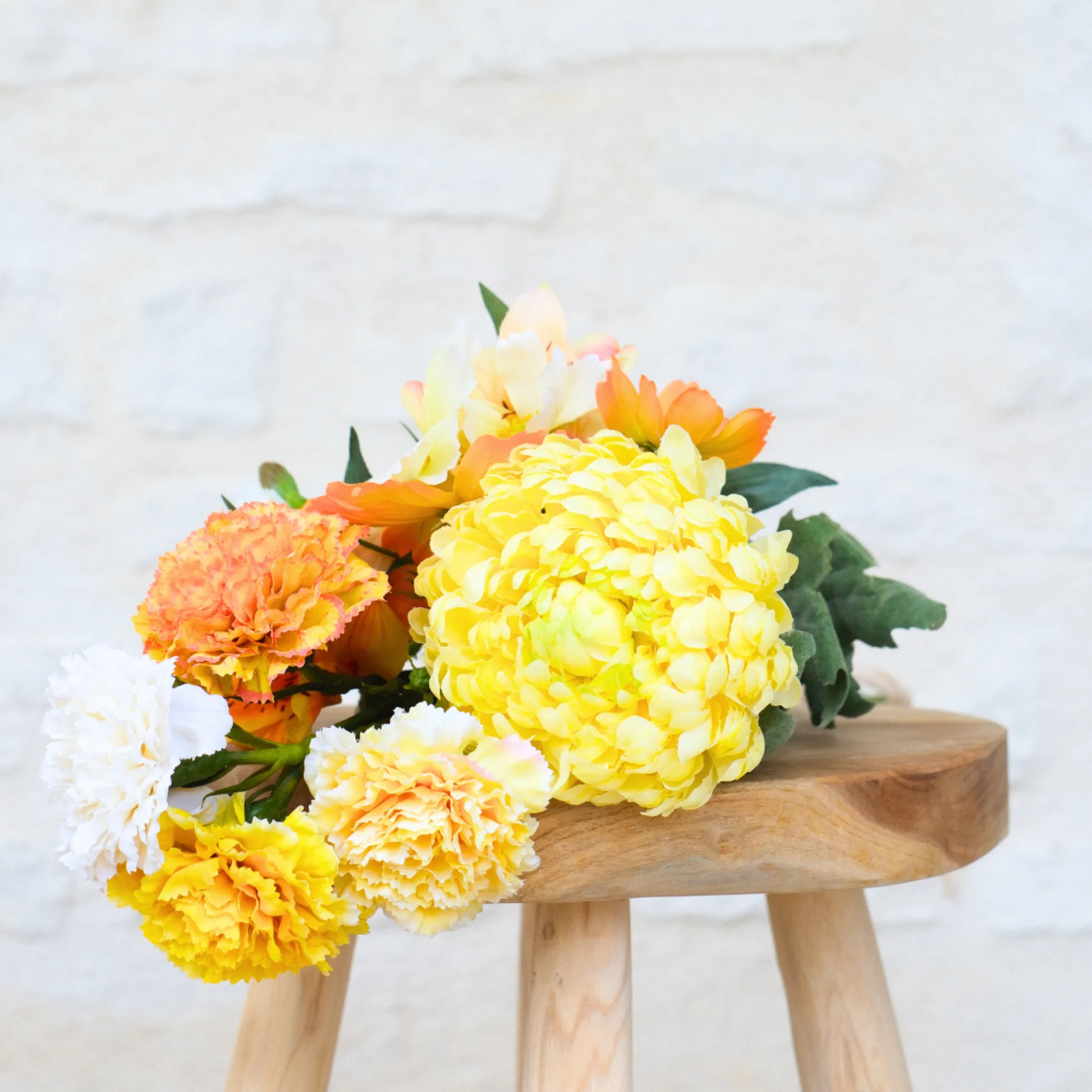 Tige de Chrysanthème