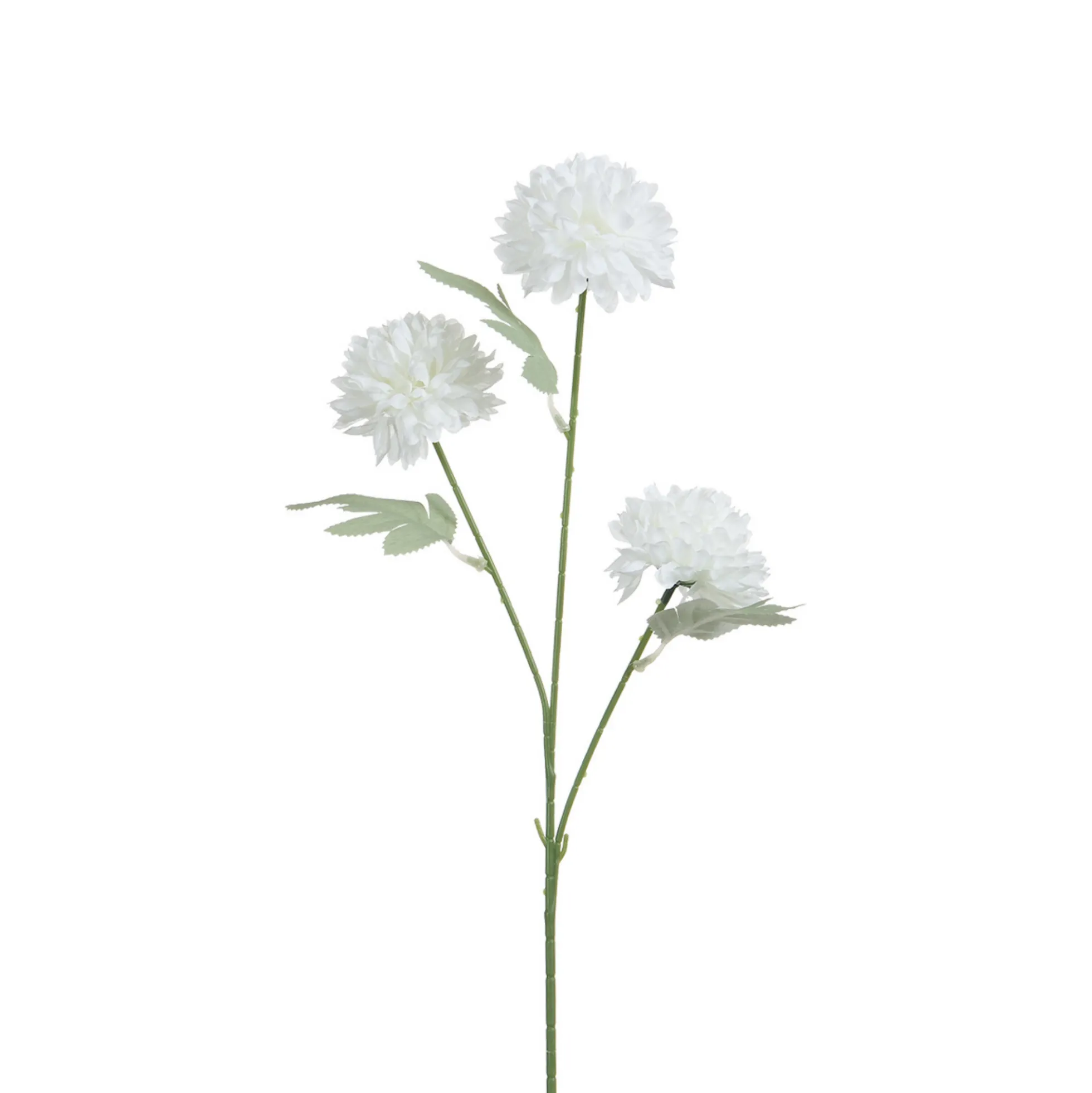 Tige de Chrysanthème 63 cm