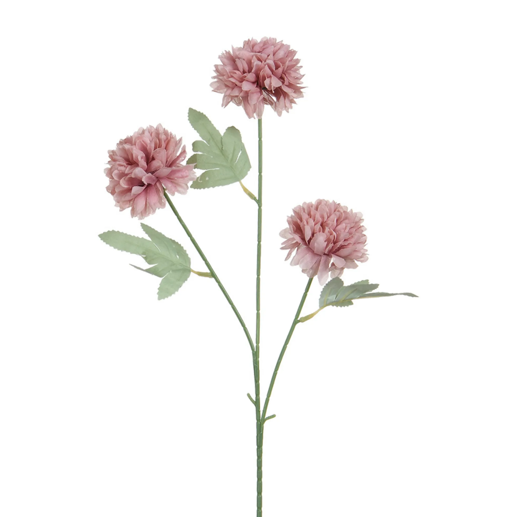 Tige de Chrysanthème 63 cm