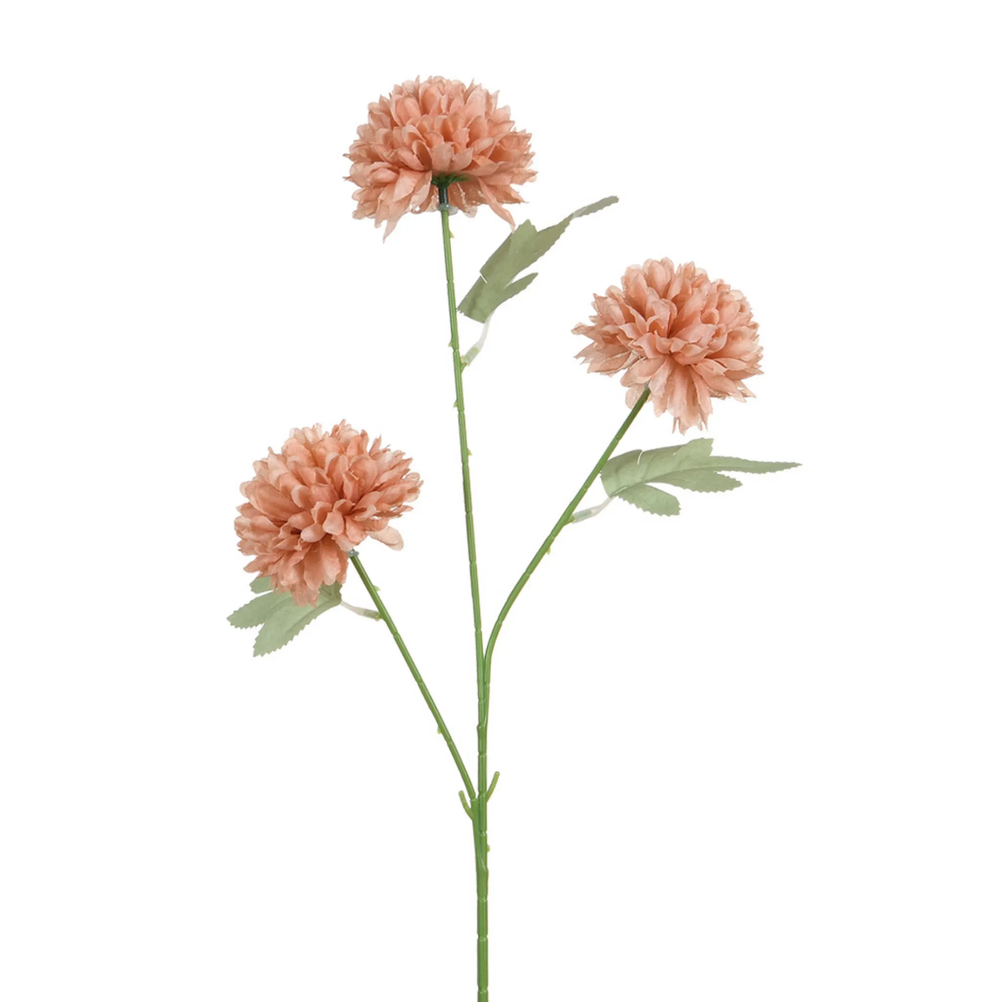 Tige de Chrysanthème 63 cm