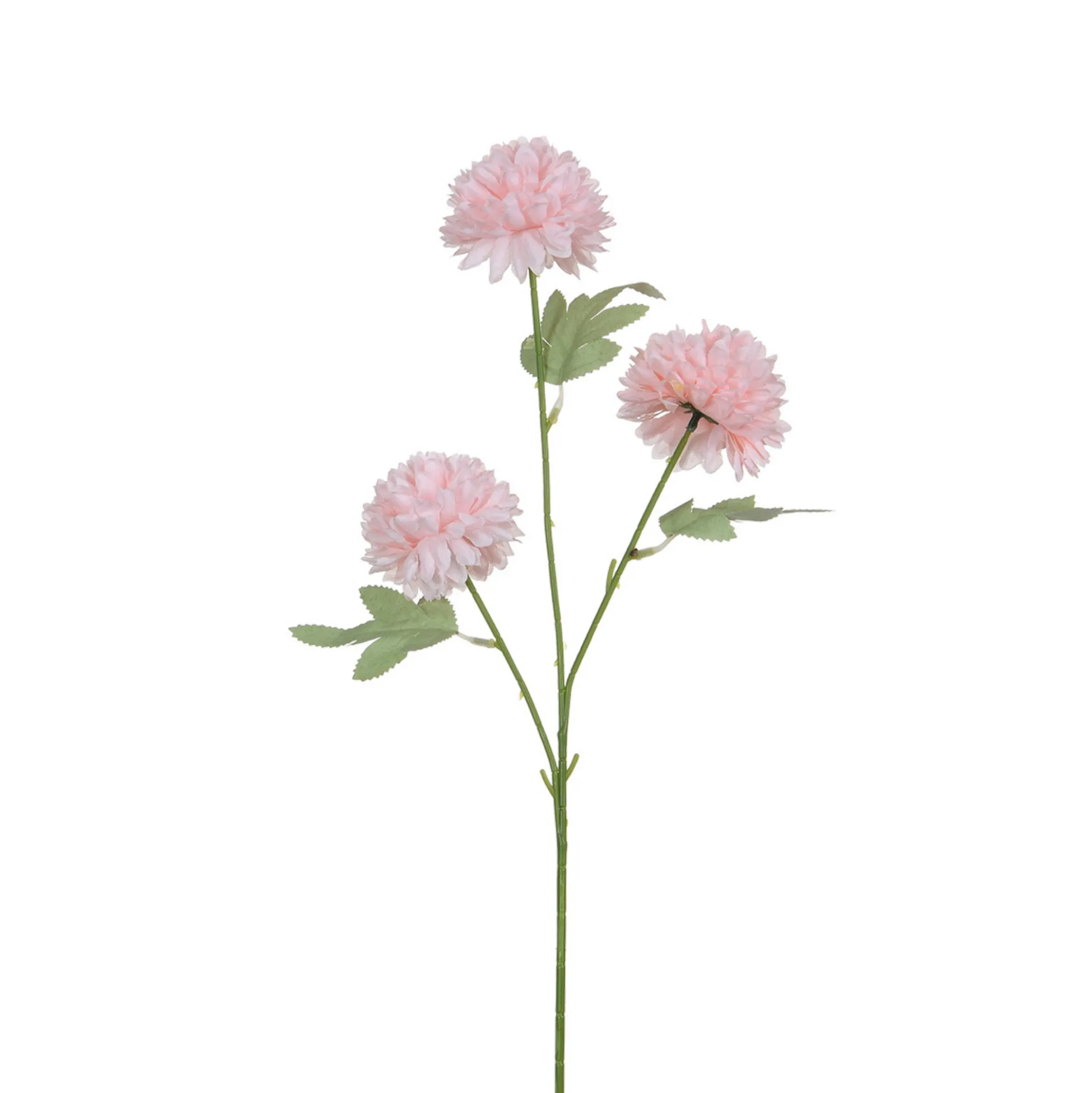Tige de Chrysanthème 63 cm