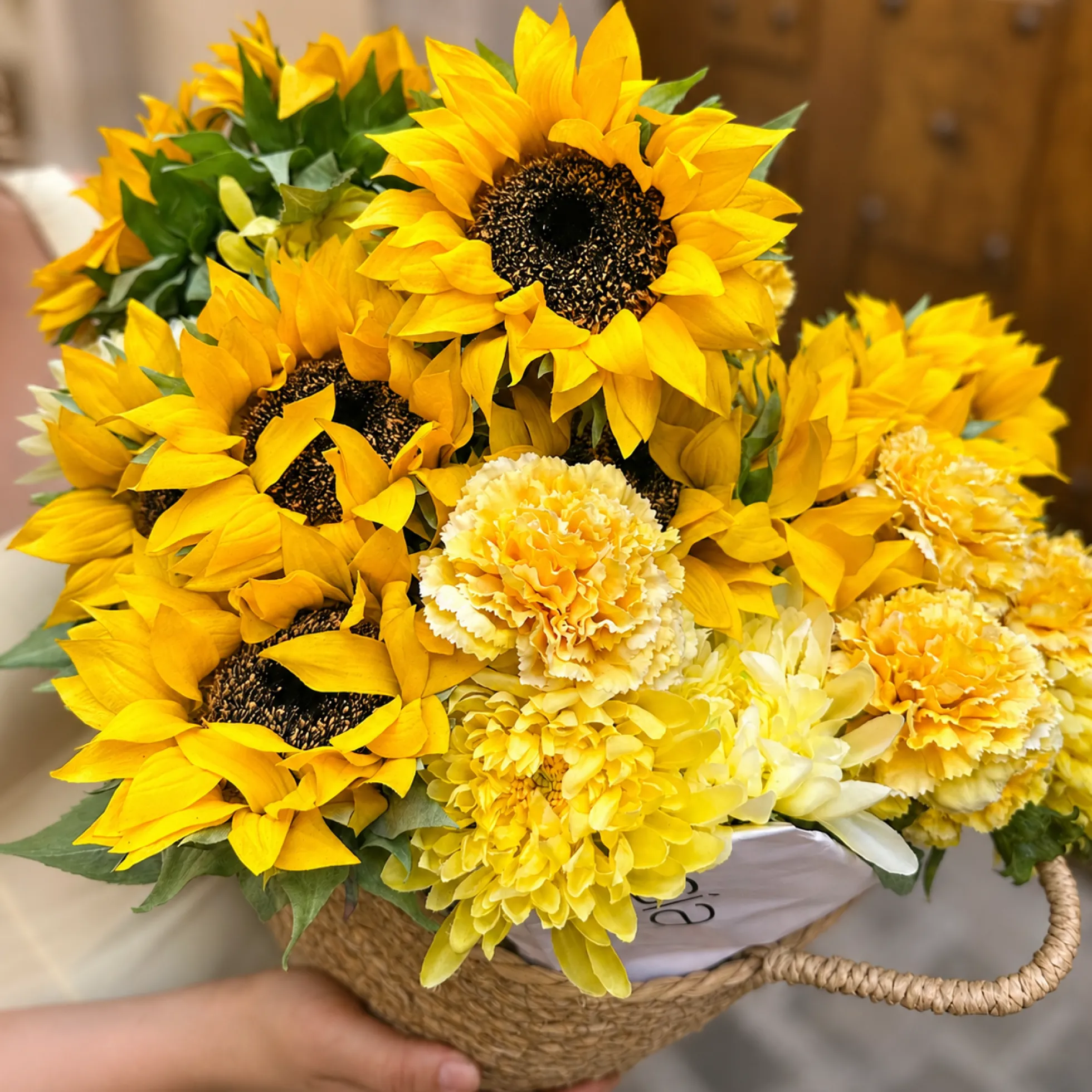 Tige de Chrysanthème Mum