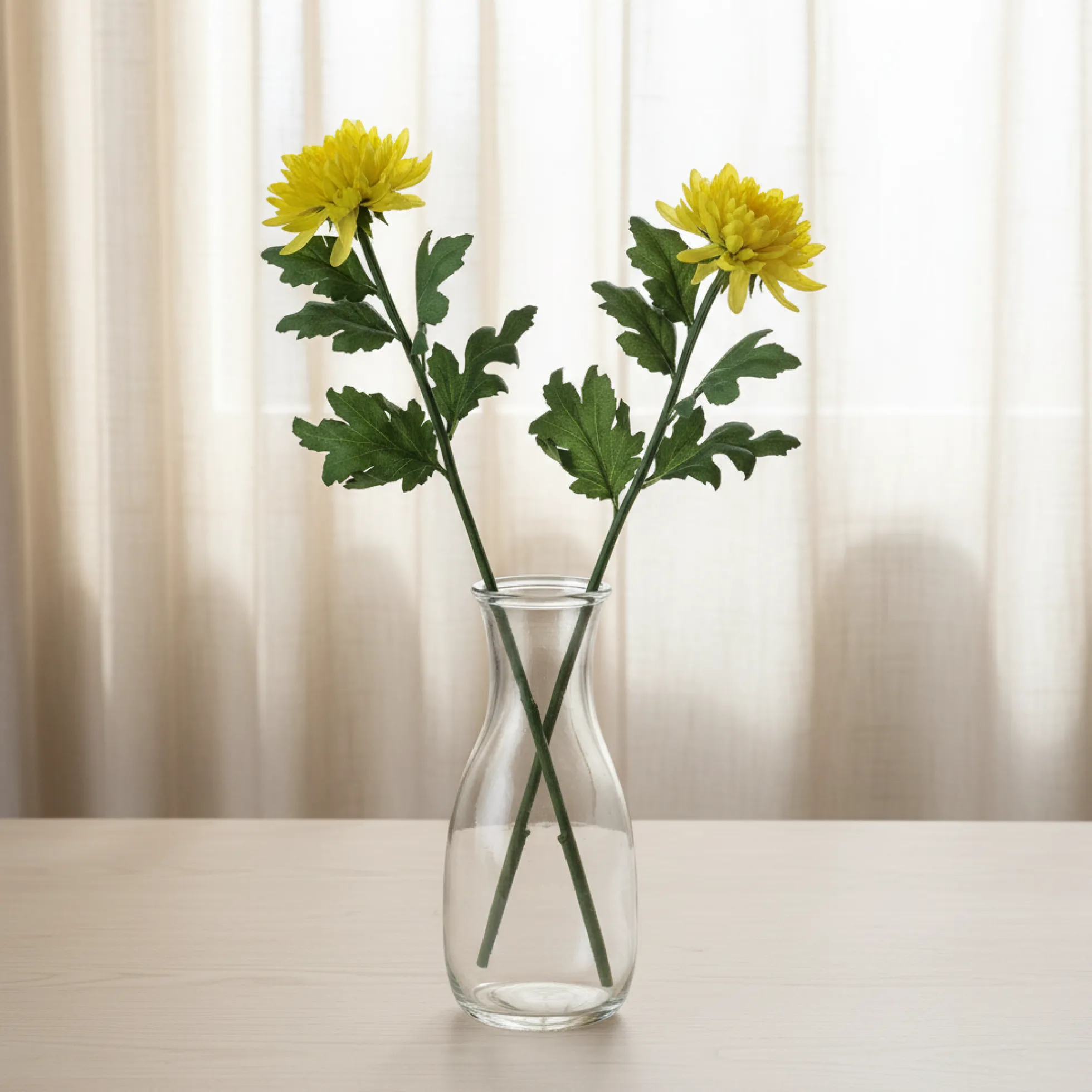 Tige de Chrysanthème Mum