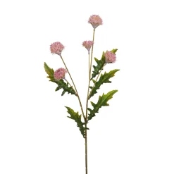 Tige de Chrysanthème Ping Pong 62 cm