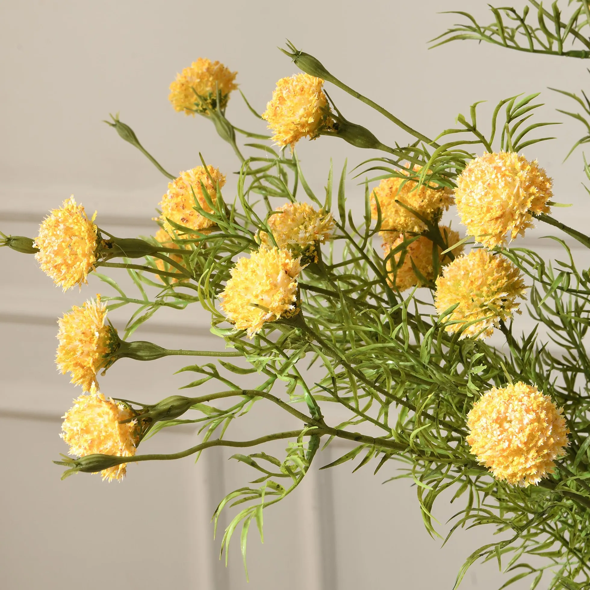 Tige de Chrysanthème Ping Pong 78 cm