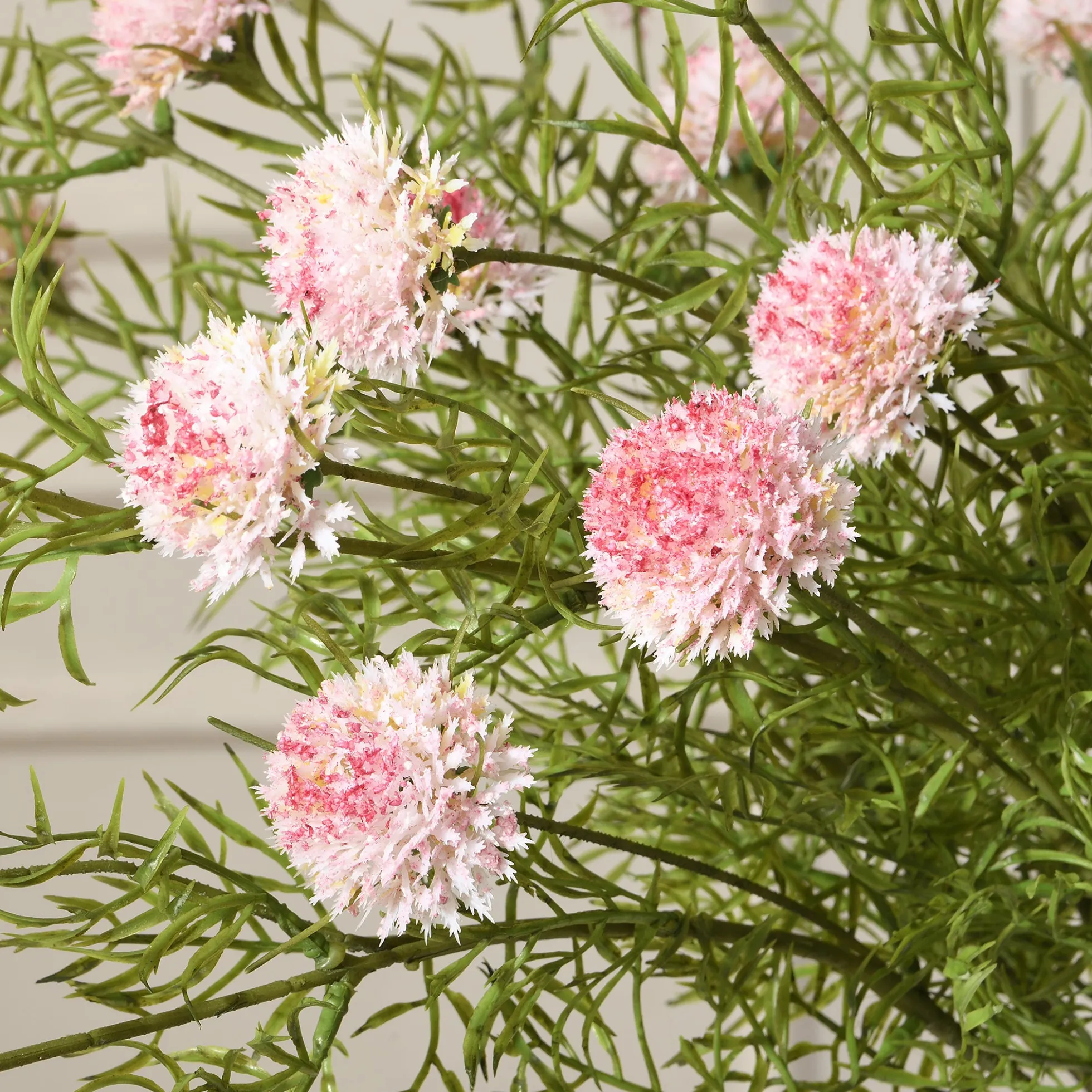 Tige de Chrysanthème Ping Pong 78 cm